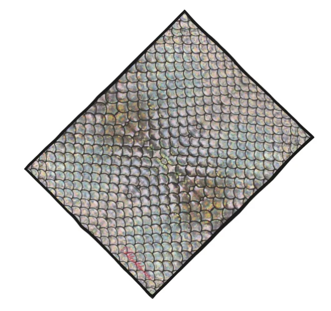 Ecailles magiques DB