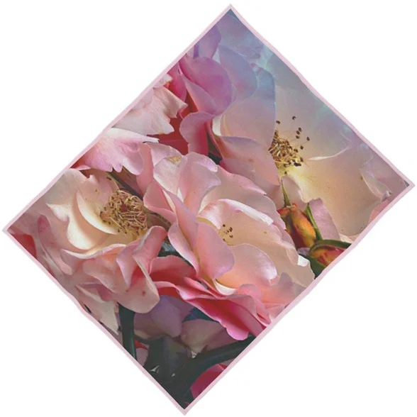 La rose s'est éclose DB