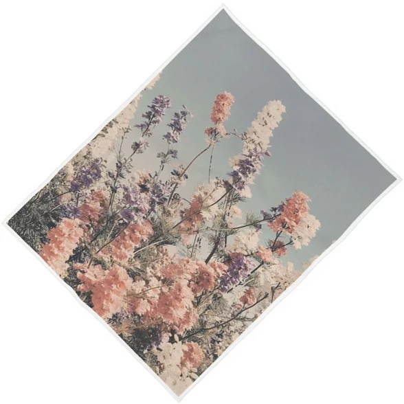 Fleurs des champs DB